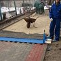 Egzamin końcowy